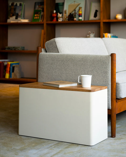 WALL M White (1st Model)